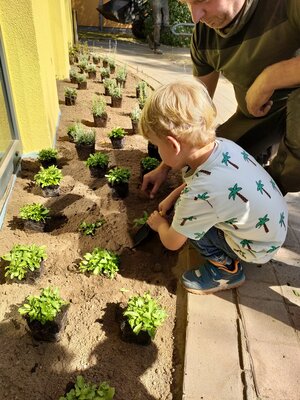 Bild vergr&ouml;&szlig;ern: 02_PM Kita Astrup Blumenbeete-2